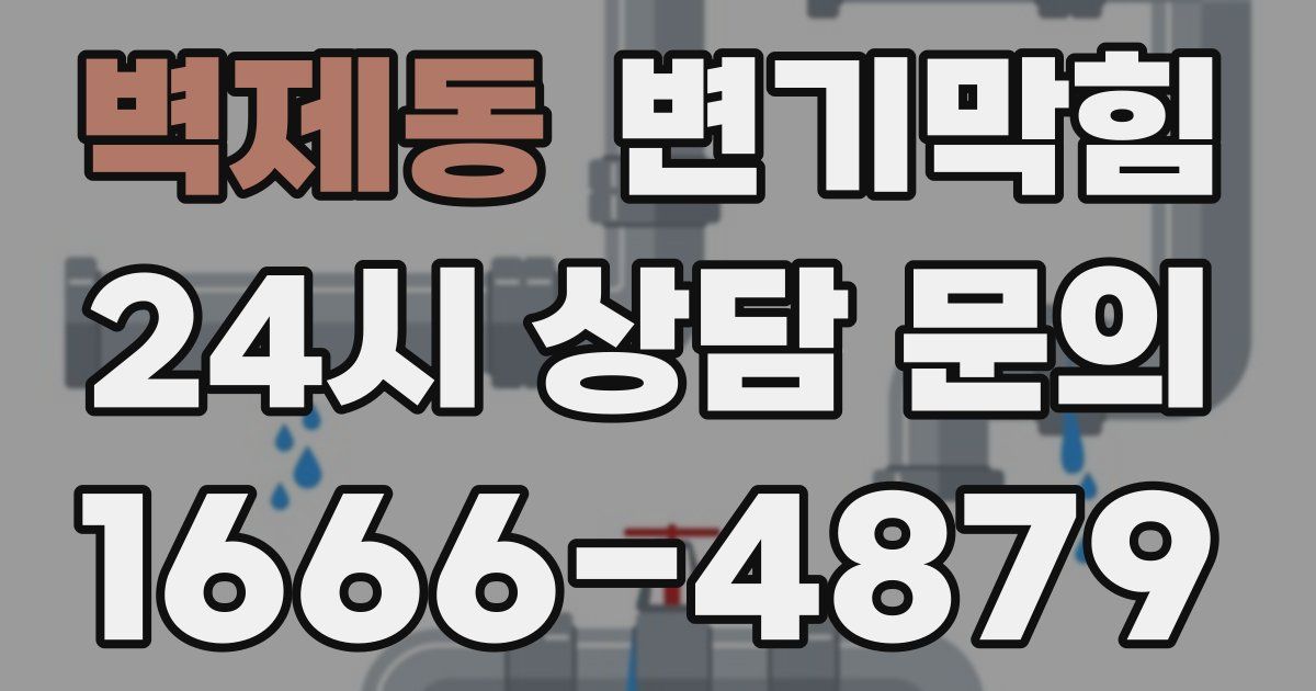 벽제동 변기