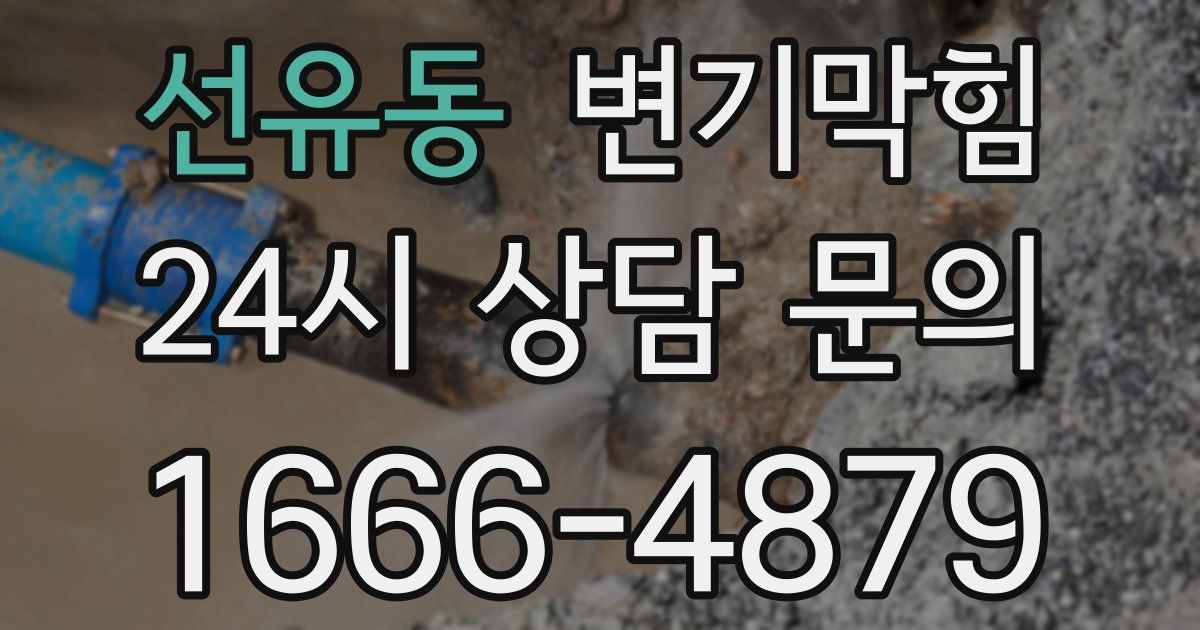 선유동 변기