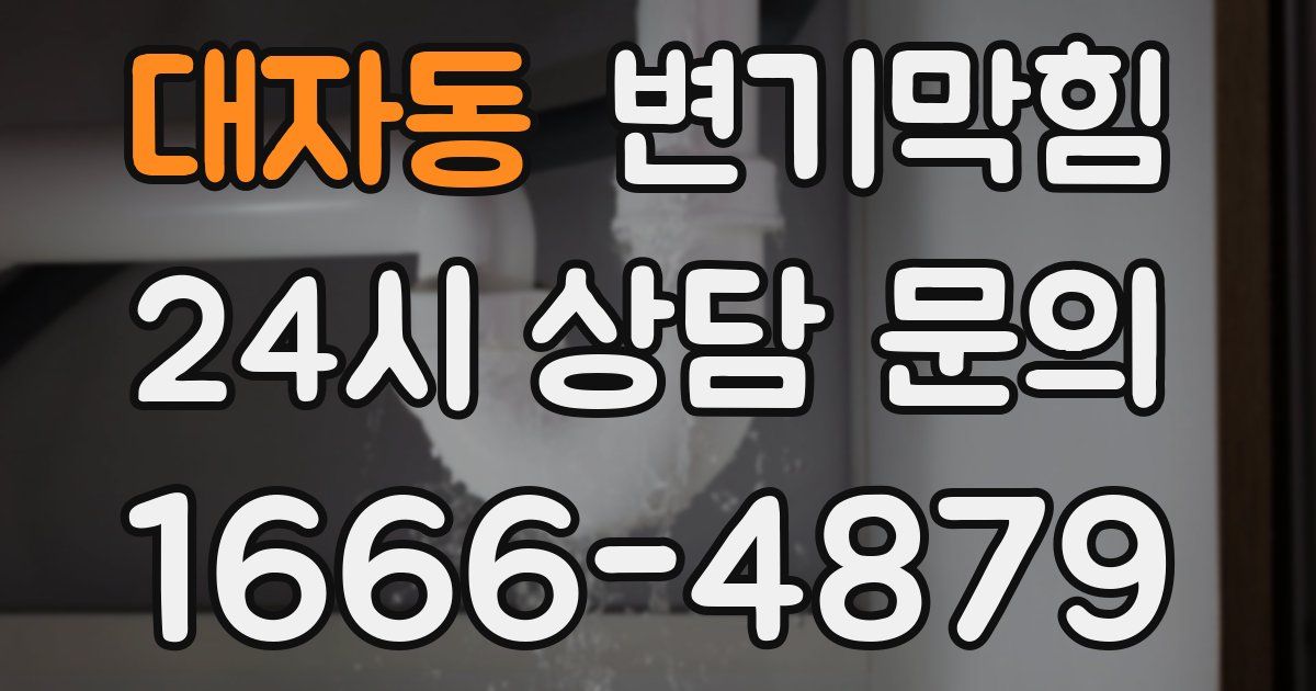 대자동 변기