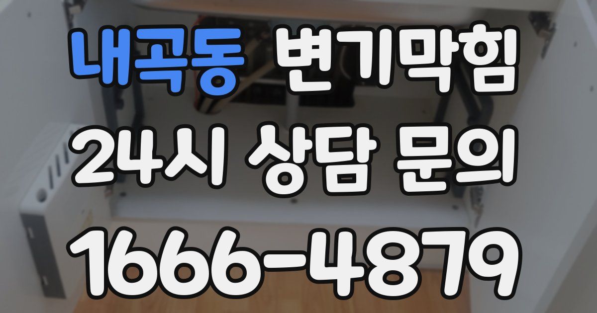 내곡동 변기