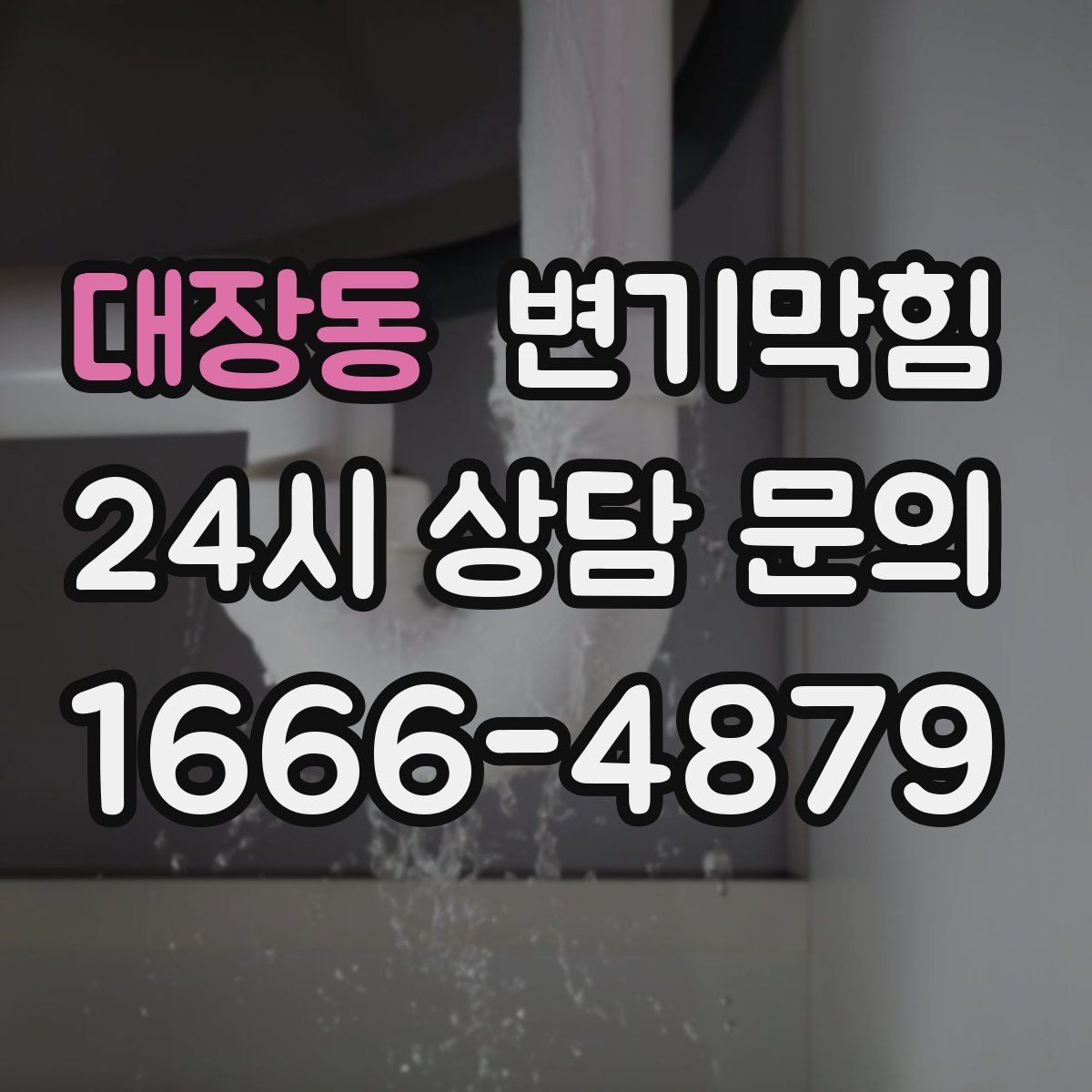 대장동 변기막힘