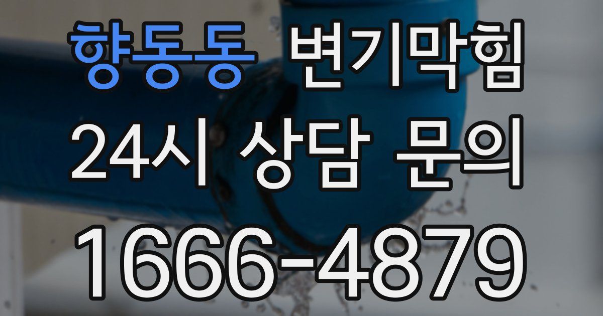 향동동 변기