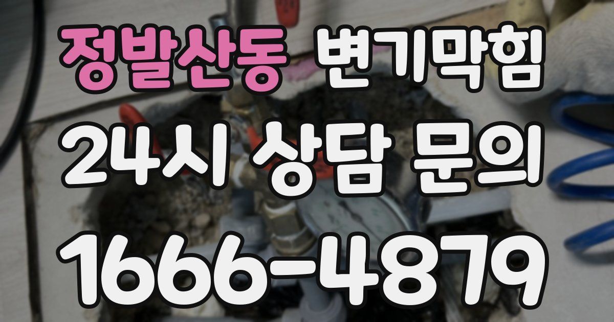 정발산동 변기