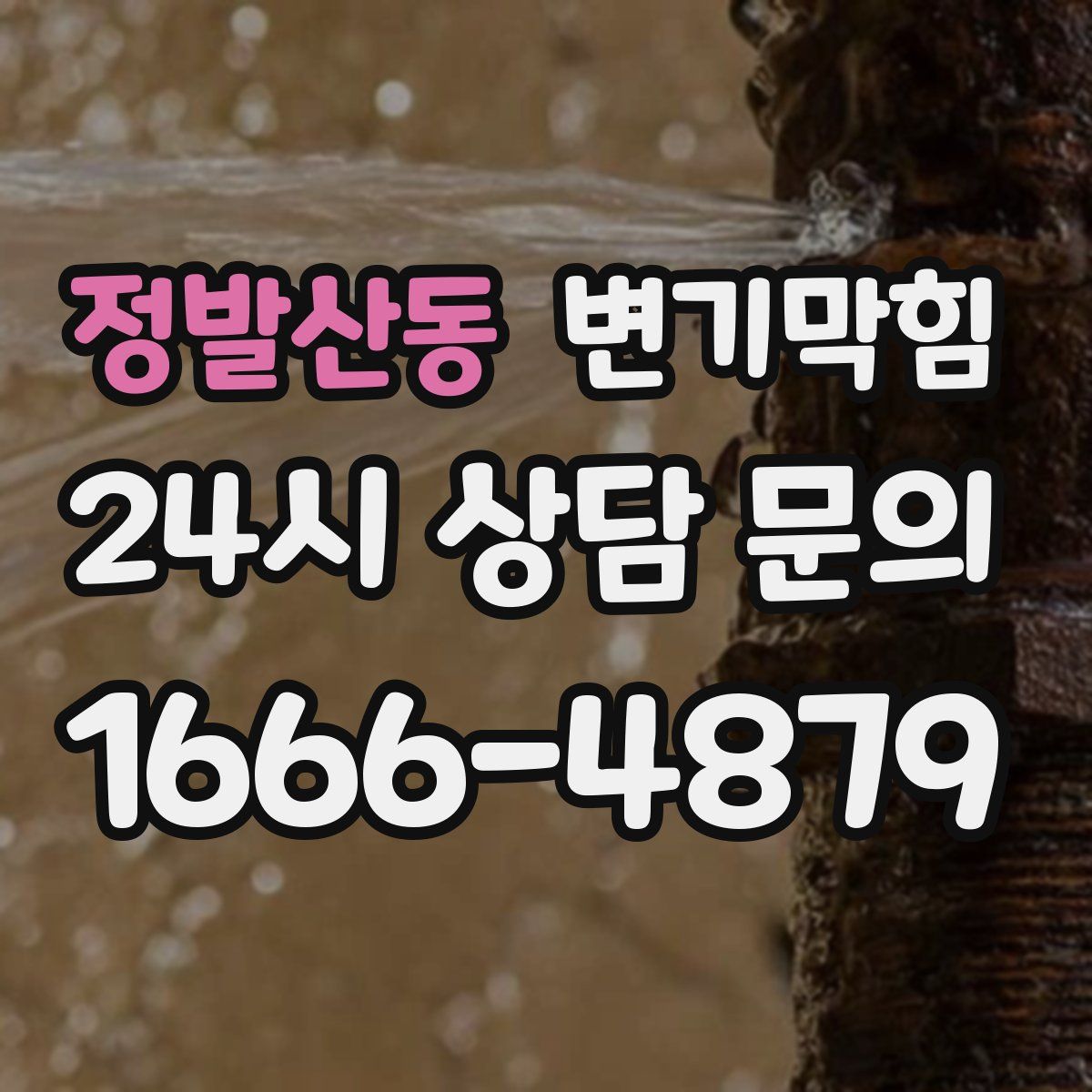 정발산동 변기막힘