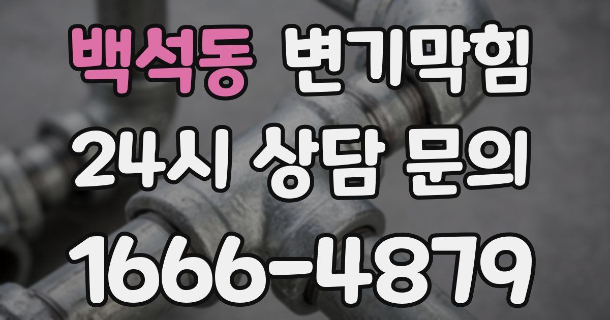 백석동 변기