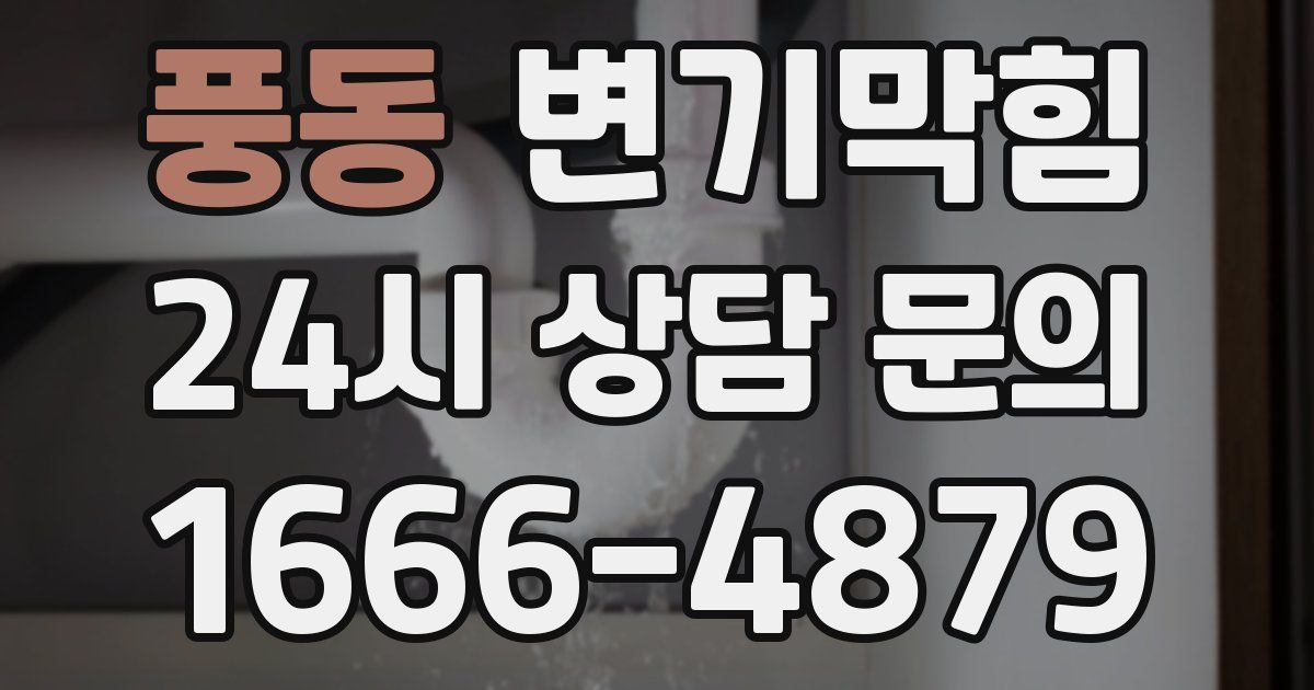 풍동 변기