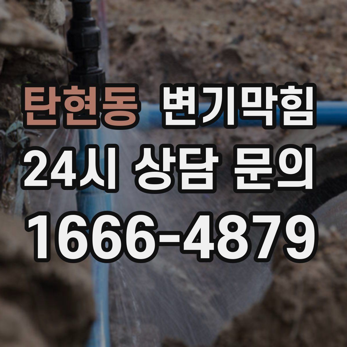 탄현동 변기막힘 카페 배수구막힘 오픈 키친 향 유지