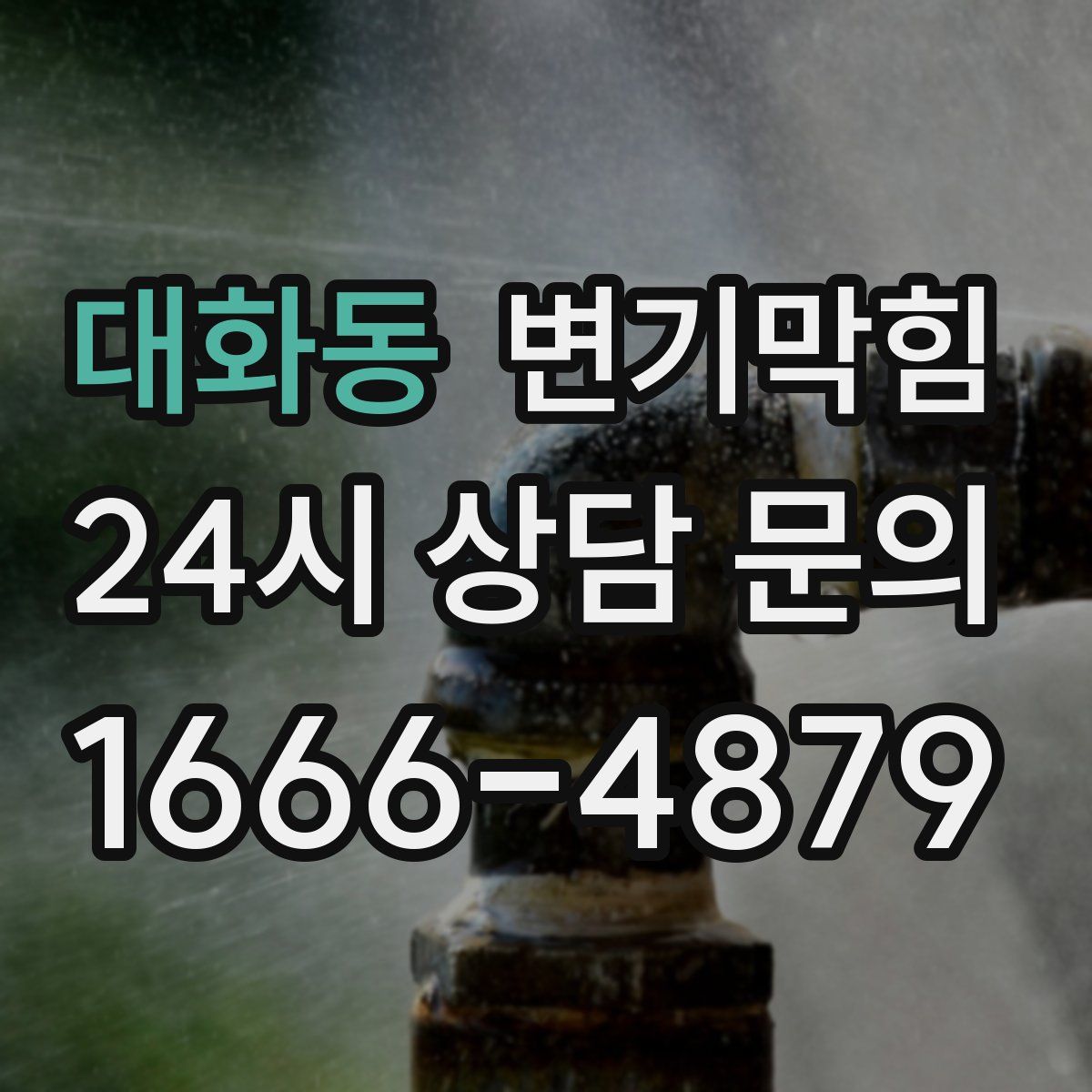 대화동 변기막힘