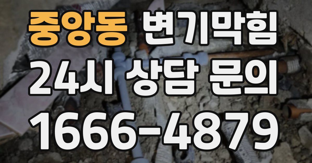 중앙동 변기