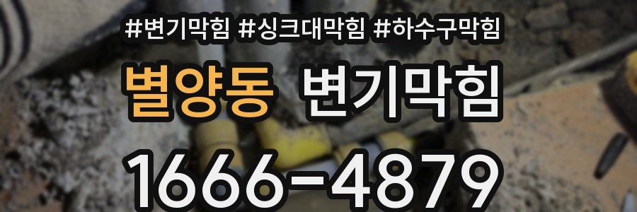 변기막힘