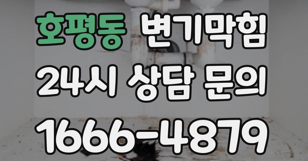 호평동 변기
