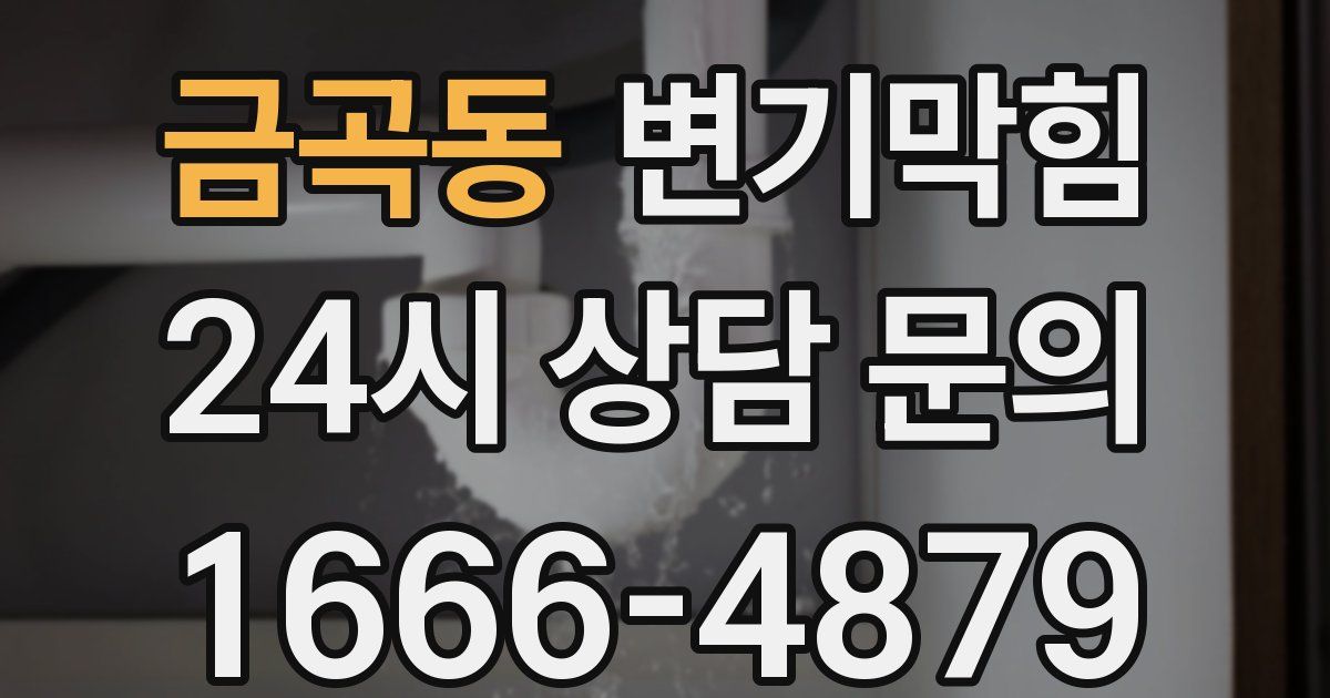 금곡동 변기