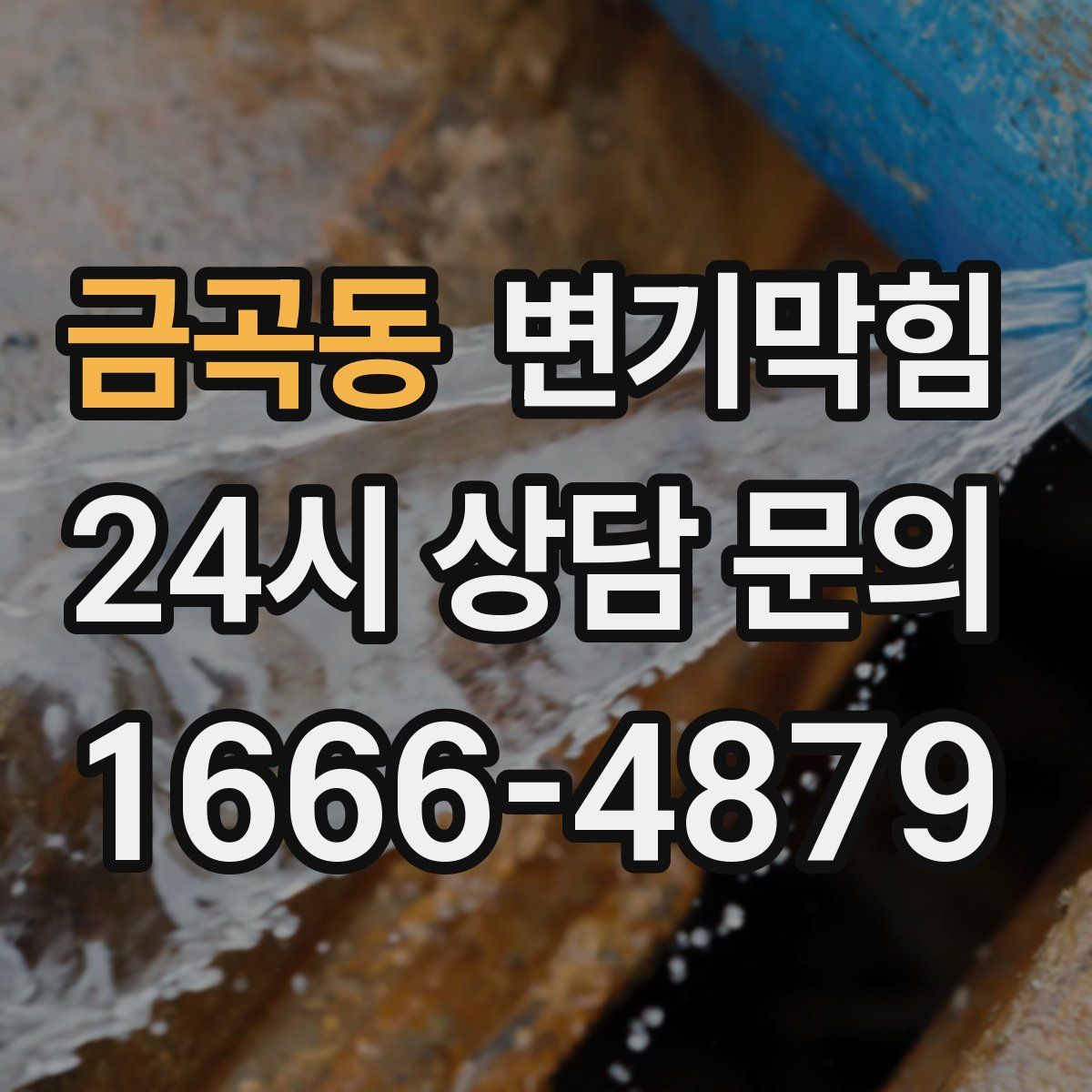 금곡동 변기막힘