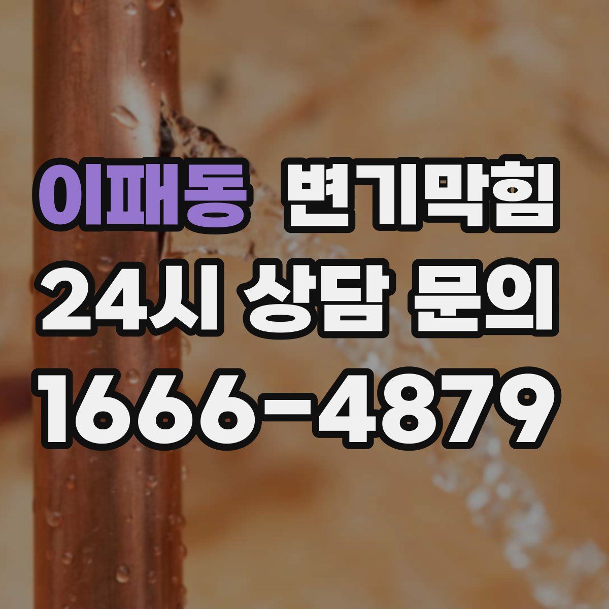 이패동 변기막힘