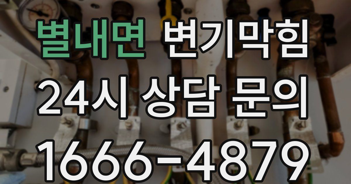 별내면 변기
