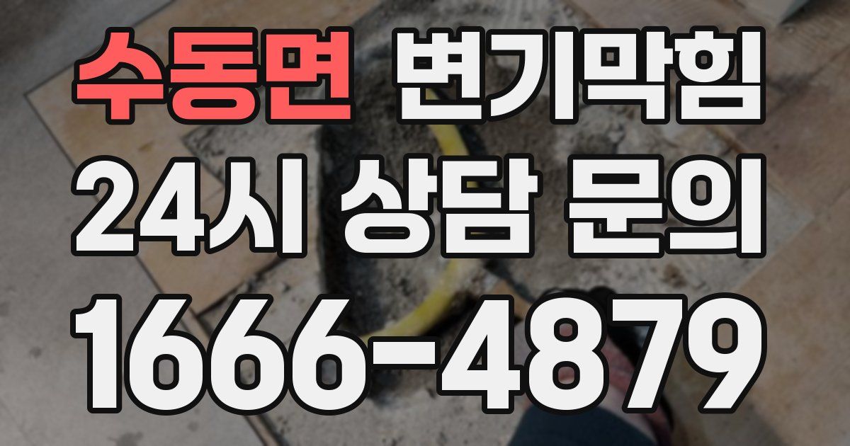 수동면 변기