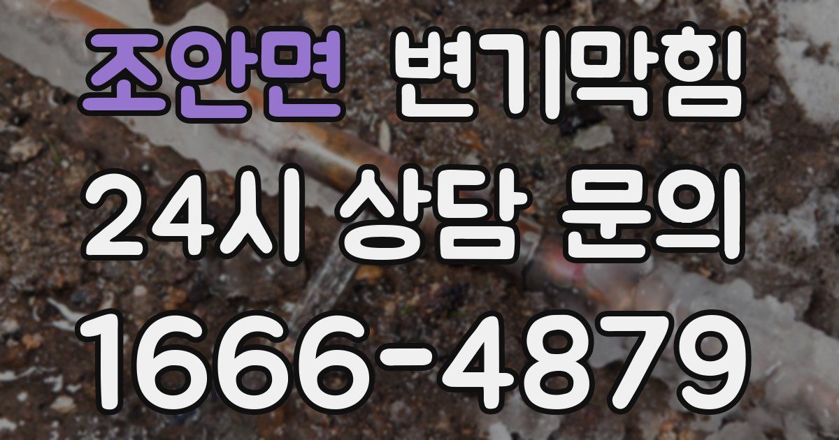 조안면 변기