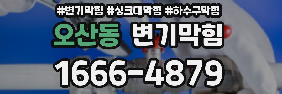 변기막힘