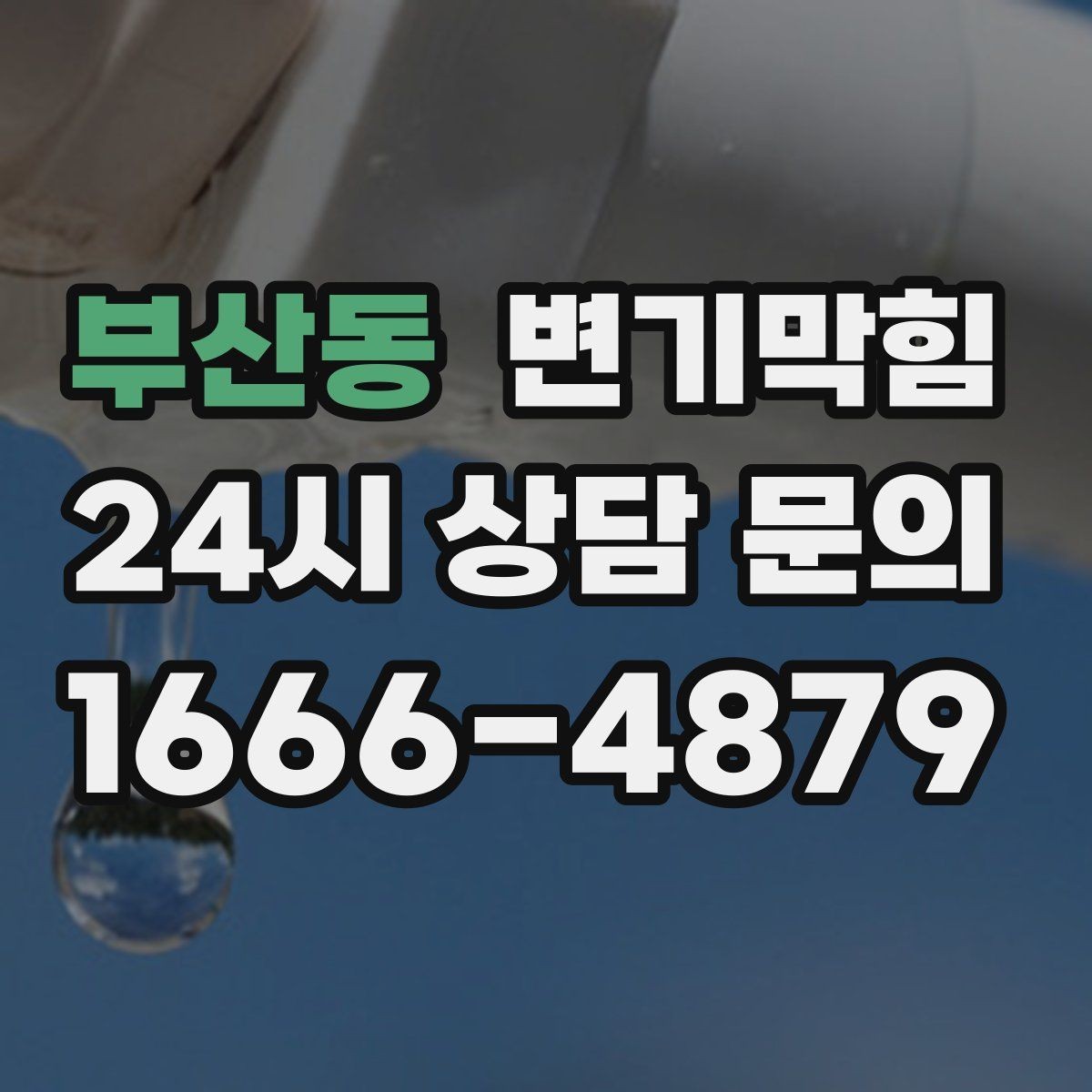 부산동 변기막힘 단독 주택 화장실역류 수봉 복원