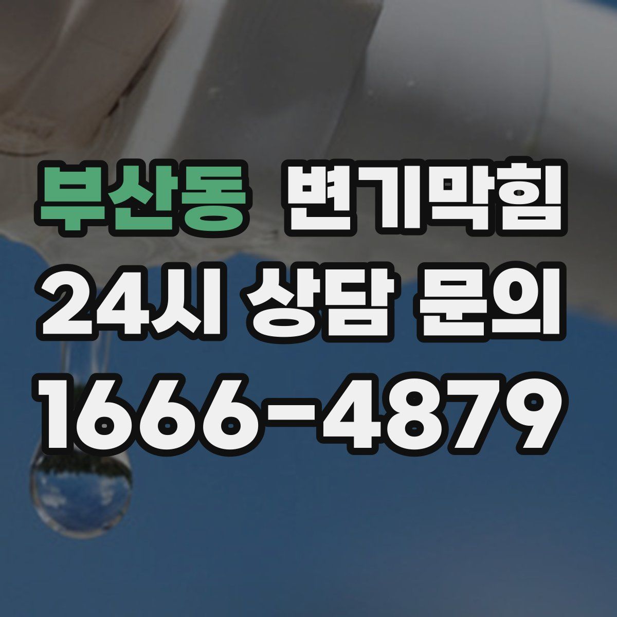 부산동 변기막힘