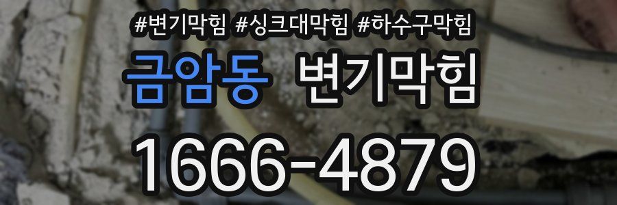 변기막힘