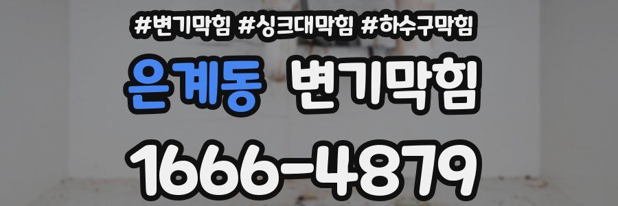 변기막힘