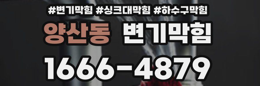 변기막힘