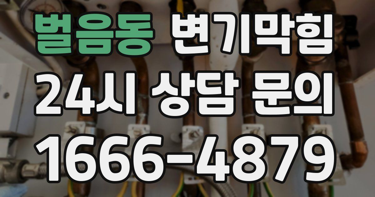 벌음동 변기