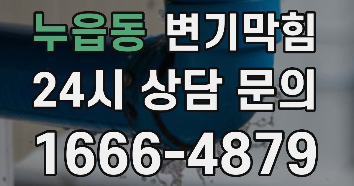 누읍동 변기