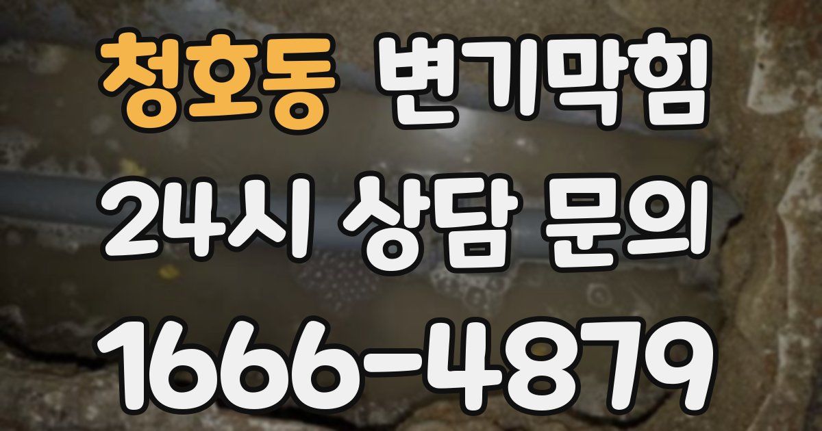 청호동 변기