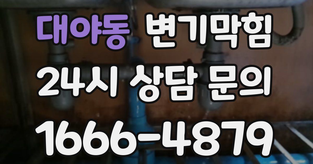 대야동 변기