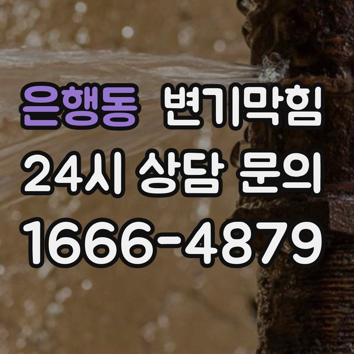 은행동 변기막힘 단독 주택 배수구막힘 바닥 젖음 종결