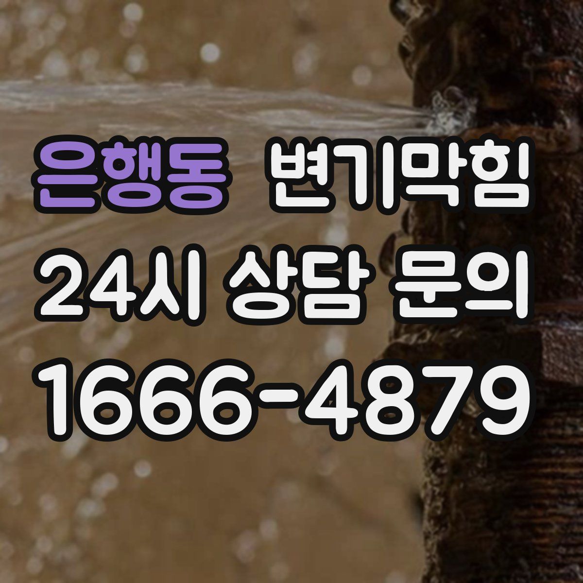 은행동 변기막힘