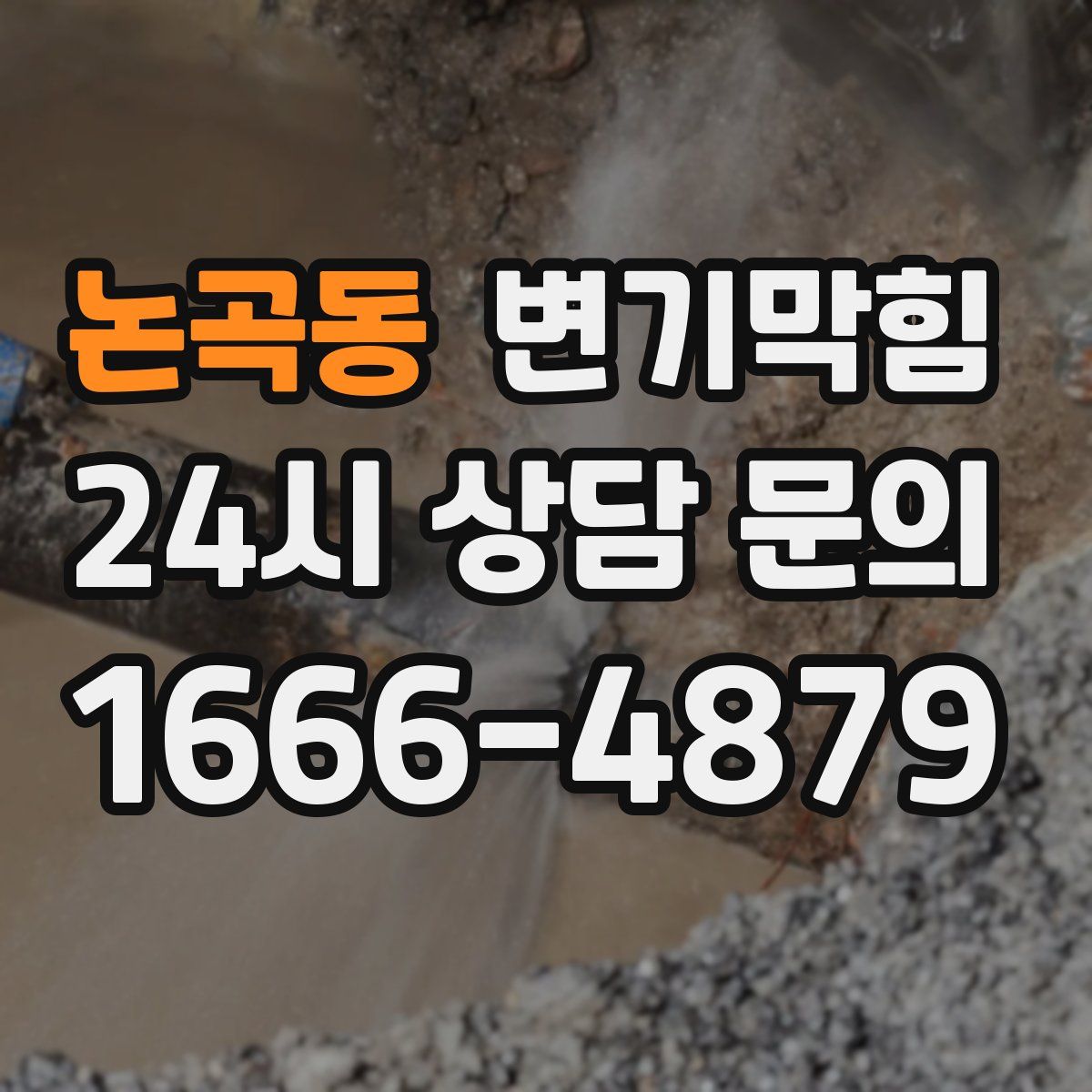 논곡동 변기막힘
