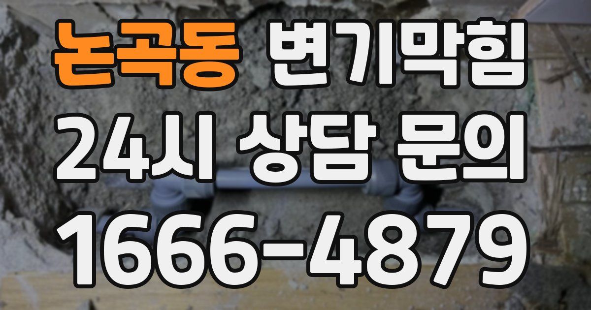 논곡동 변기