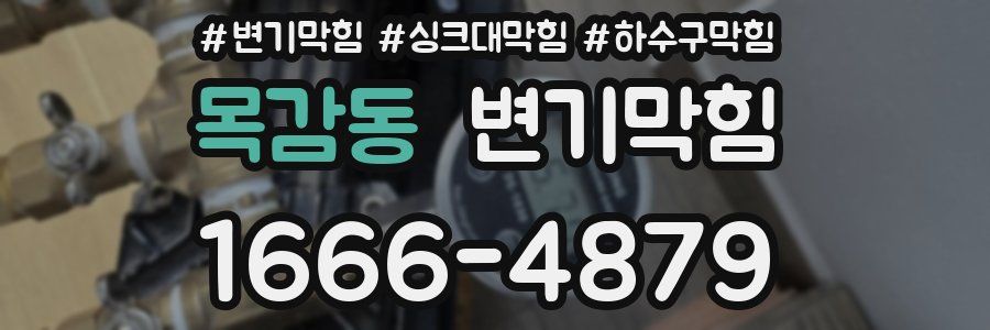 변기막힘