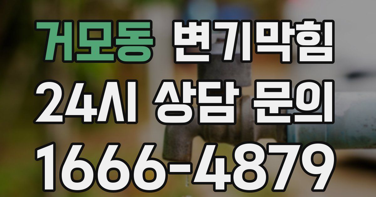 거모동 변기