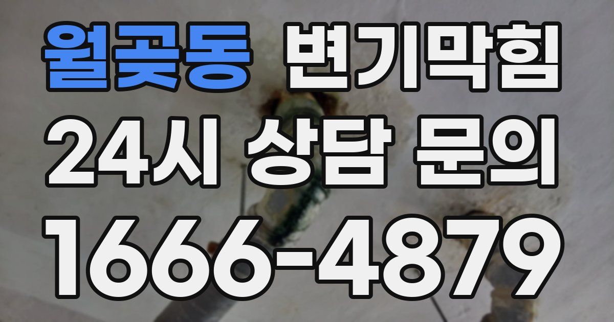 월곶동 변기