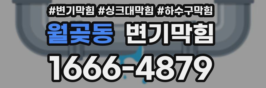 변기막힘