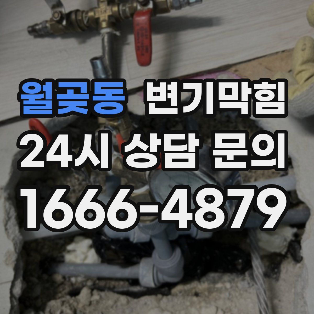 월곶동 변기막힘