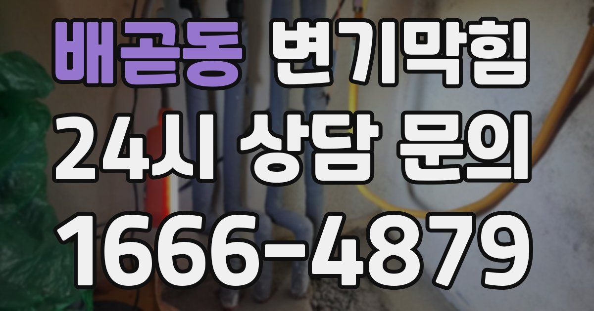 배곧동 변기