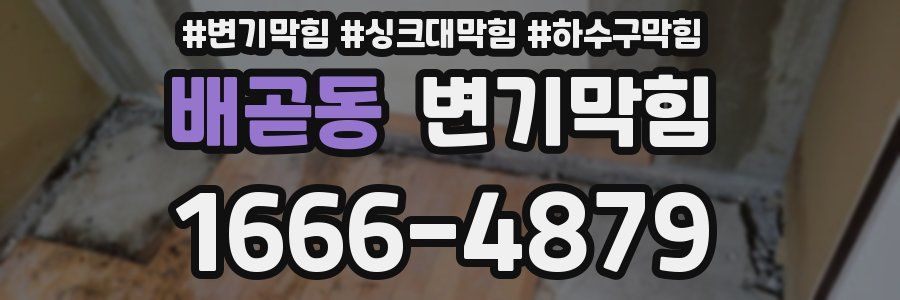 변기막힘