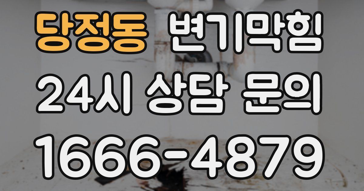 당정동 변기