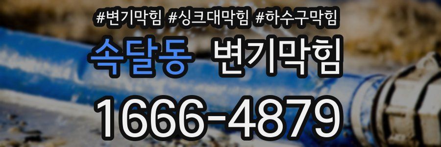 변기막힘