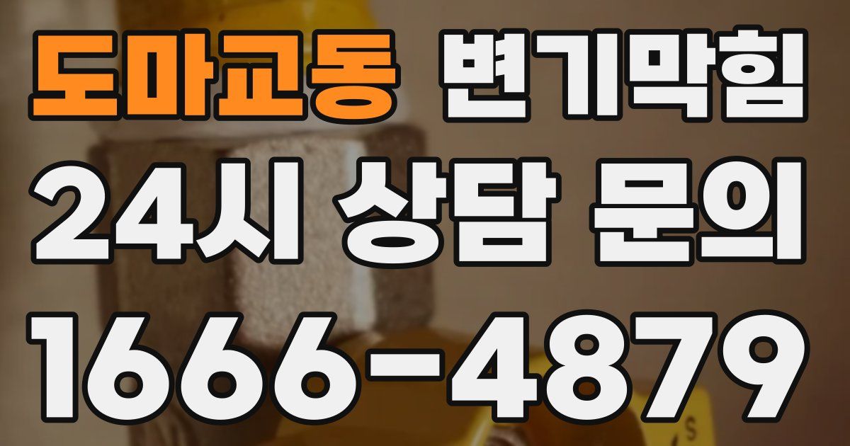 도마교동 변기