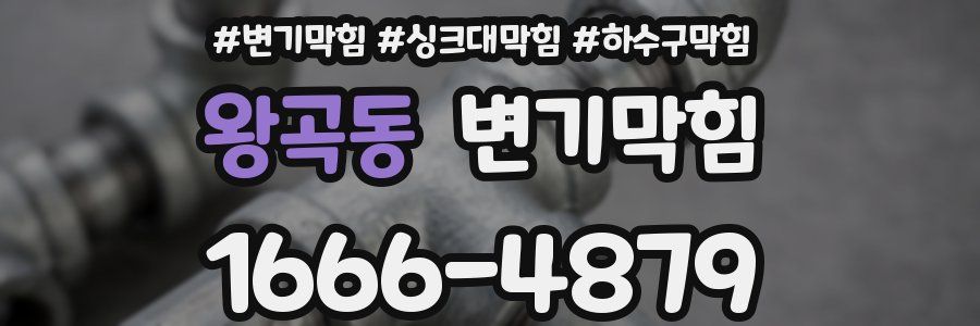 변기막힘