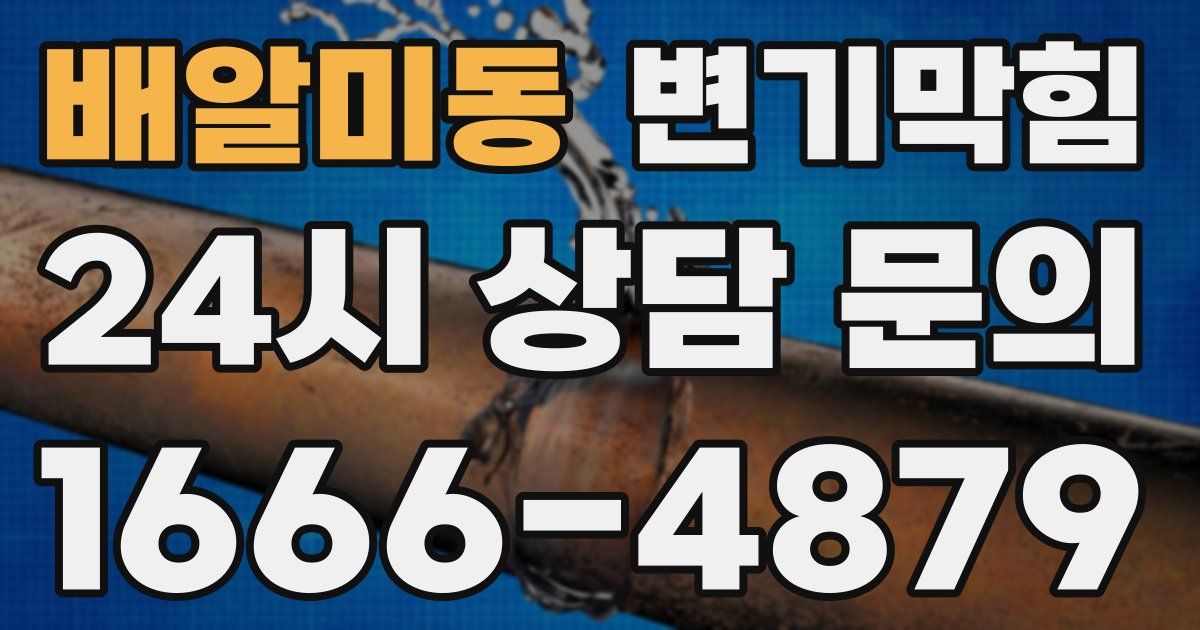 배알미동 변기