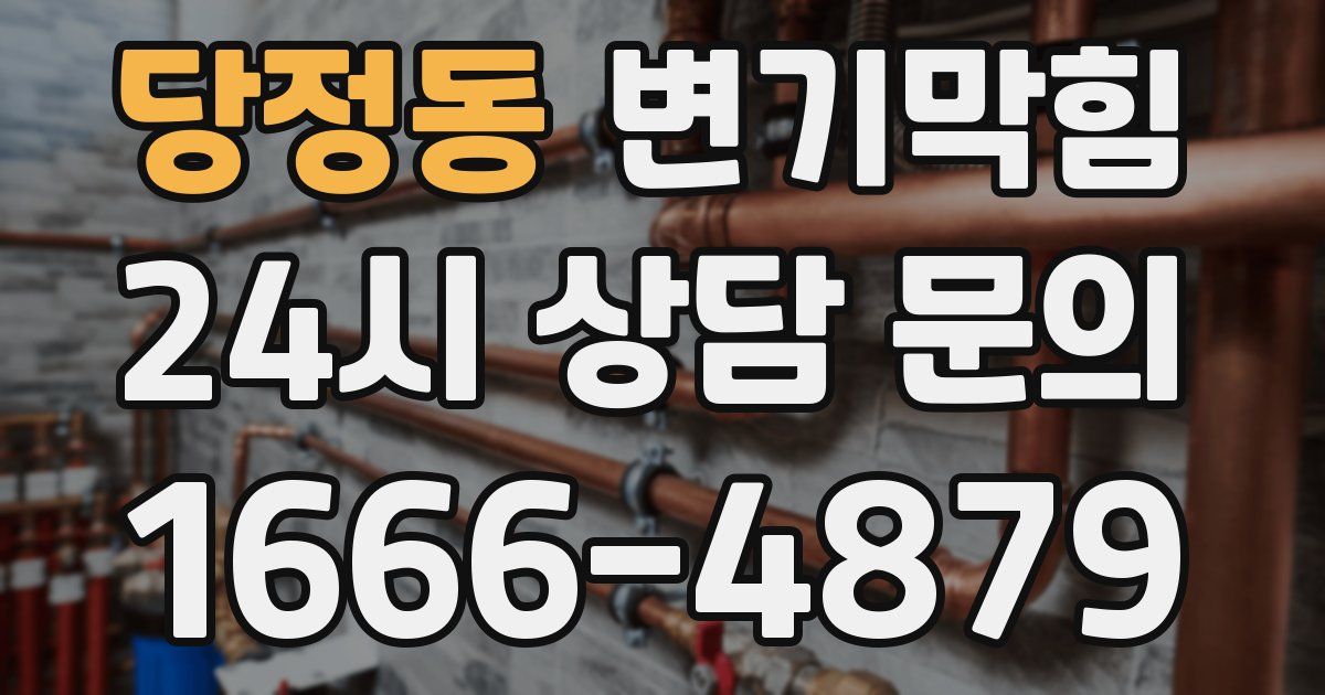 당정동 변기
