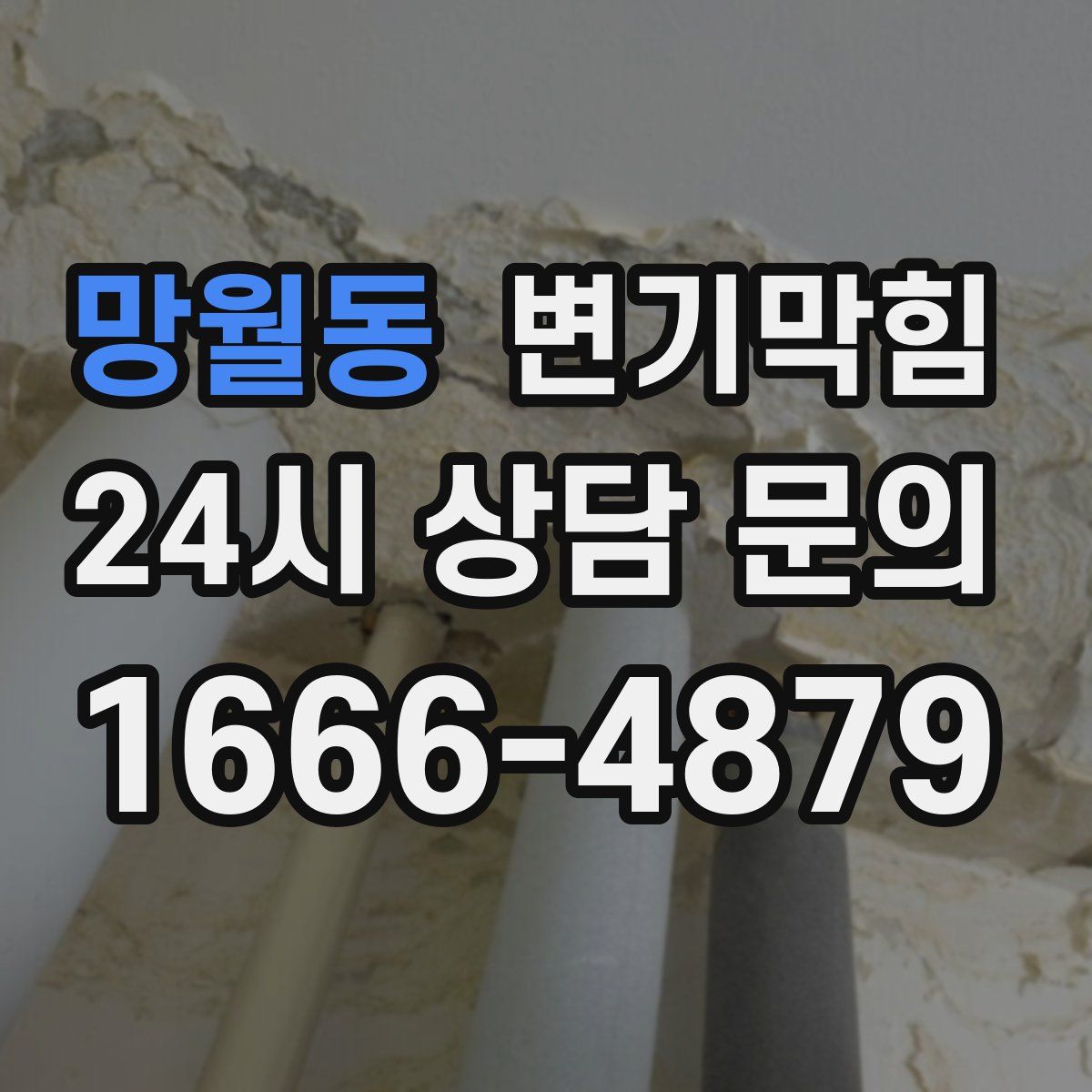 망월동 변기막힘