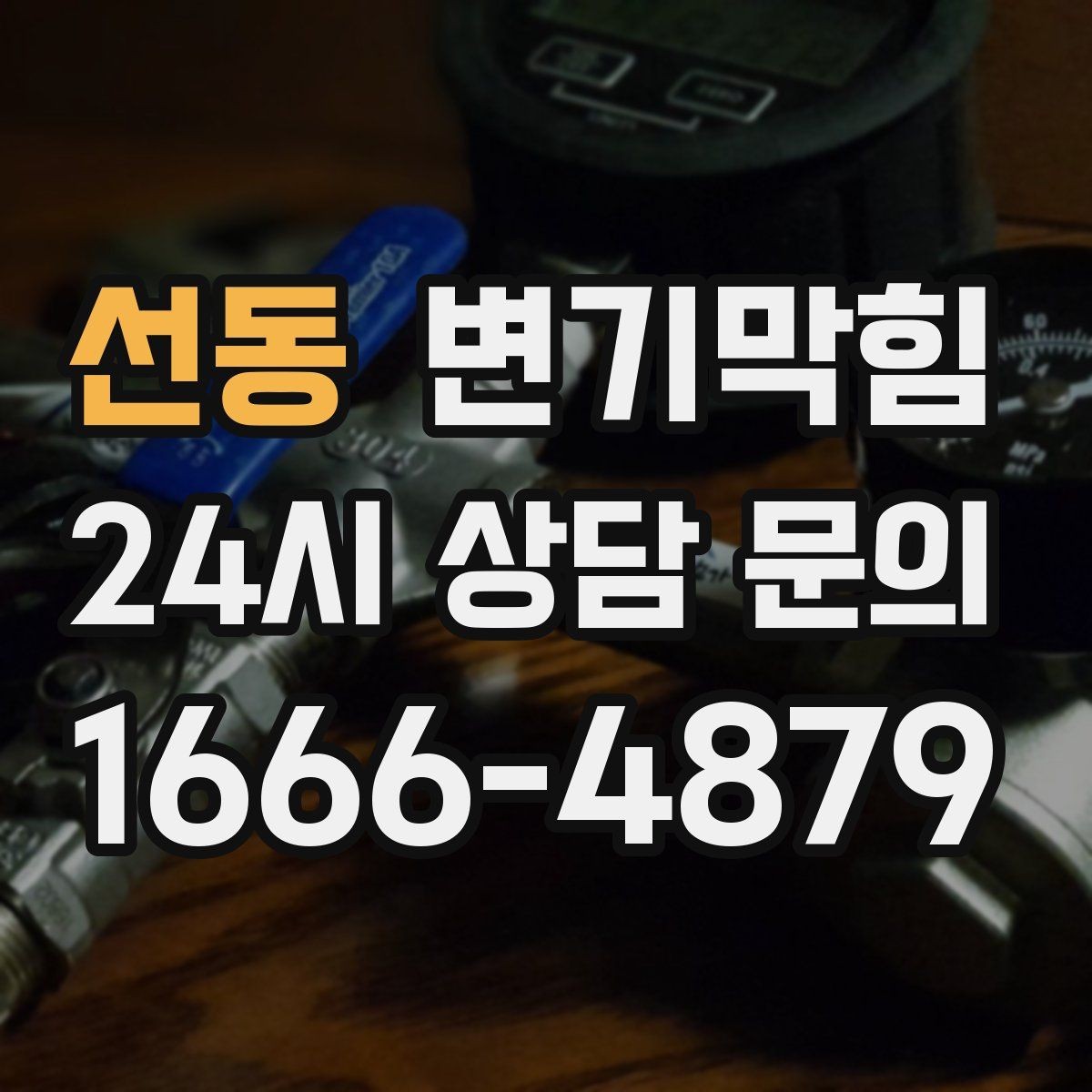 선동 변기막힘 아파트 화장실역류 우천 대책 적용기